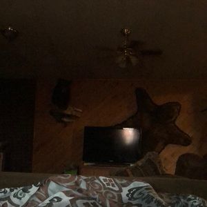 Meet your Posher, Felicia